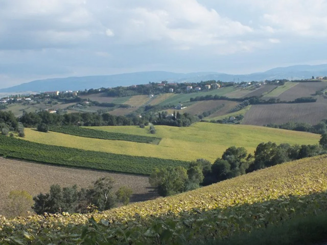 Valorizzazione territoriale