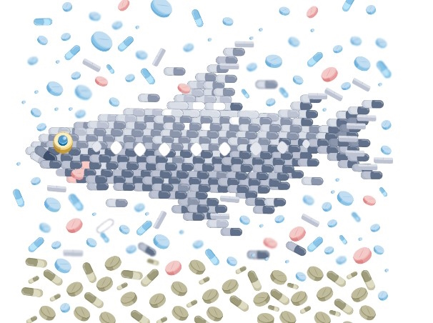 Farmaci più sostenibili: per ridurre l’impatto sulla biodiversità